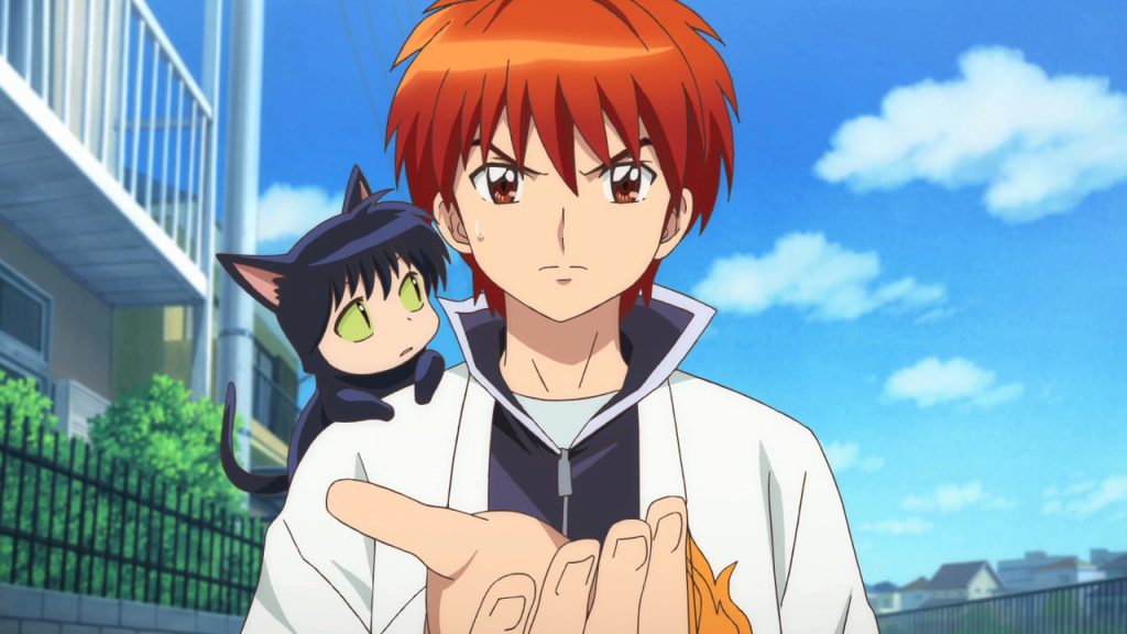 Kyōkai no Rinne anime